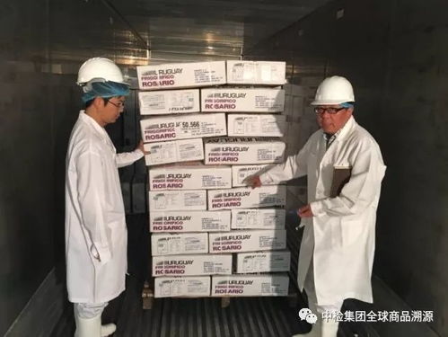 烏拉圭首批中檢溯源牛肉正式啟航，中國市場迎來國際品質新標桿