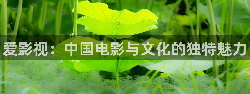 藍莓視頻怎么下載：愛影視：中國電影與文化的獨特魅力